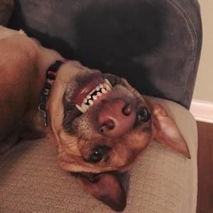 Meet your Posher, Kathleen